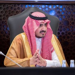 ديانا كرزون بإطلالة بيضاء كالفراشة بالحفل الجماهيري لزفاف الأمير حسين