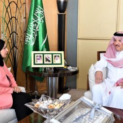 خير : الجامعة العربية  ترسخ احتياجات شعوبنا العربية فى التشغيل و سوق العمل