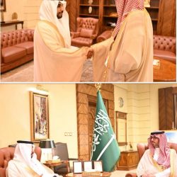 أكثر من 24 عارض و20 فعالية متنوعة.. إسدال الستار على فعاليات مهرجان المانجو الأول بمنطقة الباحة