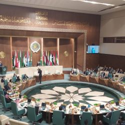 ملكة جمال الجنوب يعود بعد ٣١ عاماً وهذا هو نجم السهرة !