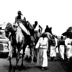 وصول 329 حاجًا وحاجة يمثلون أولى طلائع المستضافين من الشهداء والمصابين الفلسطينيين في برنامج ضيوف خادم الحرمين الشريفين للحج