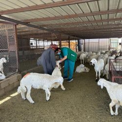 الهيئة العامة للإعلام المرئي والمسموع تفسح أكثر من 2700 جهاز لأكثر من 1200 إعلامي خلال موسم الحج