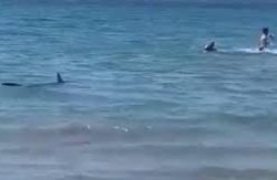 هيئة الرعاية الصحية: تطبيق مبادرة «الألف الذهبية» بمحافظات التأمين الصحي الشامل.. وبورسعيد مرحلة أولى وباقي المحافظات تباعًا