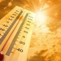 استئناف المفاوضات بين ممثلي الجيش السوداني وقوات الدعم السريع في #جدة.