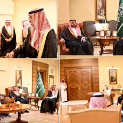 ضمن 18 قرارًا اتخذها برئاسة ولي العهد.. مجلس الوزراء يقرر استمرار العمل بأحكام لائحة عمال الخدمة المنزلية