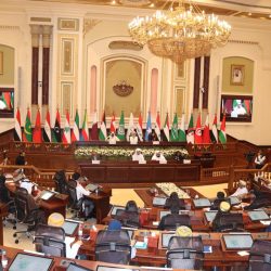 الرئيس السيسى يتوجه إلى سان بطرسبرج اليوم للمشاركة بالقمة الأفريقية الروسية