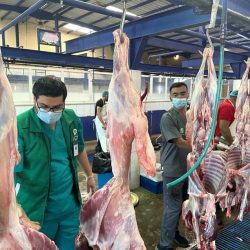 مستوطنون يقتحمون مجدداً باحات الأقصى