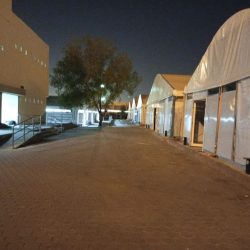 الفنان الإماراتي المبدع محمود العبّادي يحتفل بشراكته الناجحة مع HUAWEI Themes وإطلاق فنون وروائع الخط العربي التقليدي إلى الجمهور العالمي