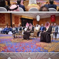 تكريم مدربة الأسود أنوسه كوته بمهرجان هرم الابداع الدولى فى دورته الثامنه أغسطس المقبل. 