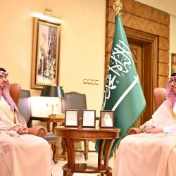 ارتفاع حجم التبادل التجاري بين البلدين وتوقيع 12 اتفاقية وشراكة باستثمارات تتجاوز ملياري دولار 