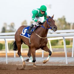 مستشفى الملك فهد التخصصي بتبوك يزيد من أوقات زيارة المرضى