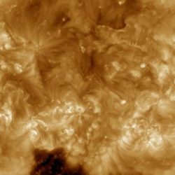 المملكة تؤكد دعم منظمة “الفاو” لتحقيق الأمن المائي والغذائي ومكافحة الجوع والفقر محليًا وإقليميًا ودوليًا