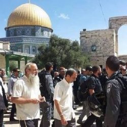 قوات الاحتلال تهدم 96 منزلاً في القدس خلال النصف الأول من العام الجاري