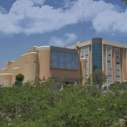 محمد بن زايد في مصر بدون حراسة