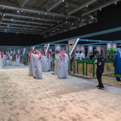 غرق قاطرة مصرية في قناة السويس