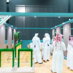 مزرعة “SSS” تبيع نحو 20% من معروضها في أول أيام المزاد الدولي لمزارع إنتاج الصقور