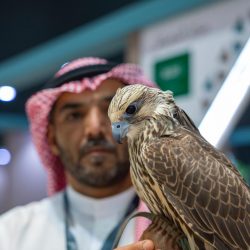 بوابة “هاوي” تطلق الحملة الوطنية للتوعية بالهوايات