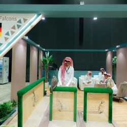 دائرة الثقافة والسياحة – أبوظبي تقدم تجربة استثنائية لعرض فيلم توم كروز (المهمة المستحيلة)  ومشاهد حصرية من مطار أبو ظبي الجديد