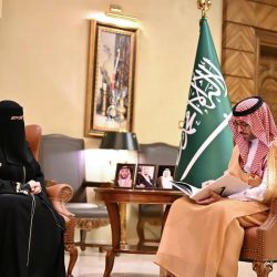 بيع ٣ صقور إيرلندية في الليلة الخامسة لمنصة المزاد الدولي لمزارع إنتاج الصقور