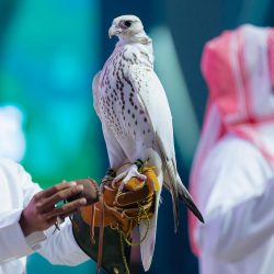 سمو أمير منطقة الباحة يلتقي قيادات التعليم بالمنطقة ويطلع على الجهود التي بذلت لبدء العام الدراسي*