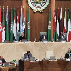 مركز السينما العربية ينظم 4 فعاليات بالتعاون مع جسر فينيسيا للإنتاج