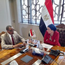 حرس الحدود بجازان يحبط تهريب (52) كيلوجرامًا من نبات القات المخدر