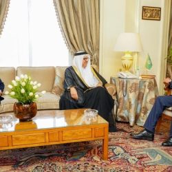 وزير الخارجية الياباني: حان الوقت للتوحد مع العالم العربى و النظام الدولي الحر القائم على سيادة القانون                             