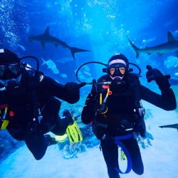 عمرو الليثي يتحدث عن علاقته بالفنان الكبير فؤاد المهندس وبرنامج كلمتين وبس 