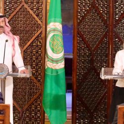 أبو الغيط يستقبل وزيرة خارجية فرنسا ويؤكد اهمية الاعتراف بالدولة الفلسطينية المستقلة على حدود الرابع من يونيو ١٩٦٧