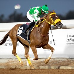 ارتفاع معدلات تدفق التمور لمزاد مهرجان العلا للتمور في أسبوعه الثاني