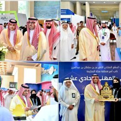 دانيس تانوفيتش رئيسًا للجنة تحكيم المسابقة الدولية بمهرجان القاهرة السينمائي الدولي في دورته الـ45