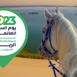 مخصص لصقور الطرح المحلي.. إطلاق مزاد نادي الصقور السعودي غرة أكتوبر المقبل