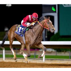 ” ارت لاونج ” تتوج بالبهجة والسرور للذكرى ال ٩٣ لليوم الوطنى السعودى 