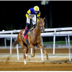 السفير السعودي في فلسطين : الزيارة تمهد لتعزيز العلاقات بين البلدين