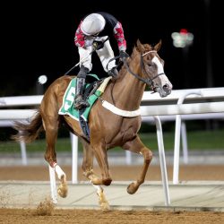 الأمير سلطان بن سلمان خلال إعلان رؤية مشاريع مؤسسة التراث غير الربحية: المملكة تعيش نهضة عالمية بفضل رؤية 2030