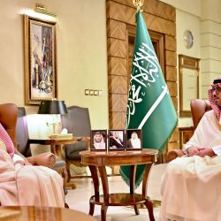 محافظ شمال سيناء ووزير الشباب يفتتحان مهرجان سيناء الأول للزيتون 