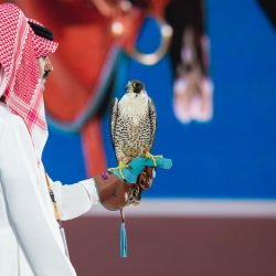 شموخ الشاهين وهيبته في أعمال تشكيلية بمعرض الصقور والصيد السعودي الدولي