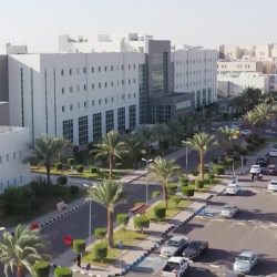 ارتفاع عدد شهداء العدوان الإسرائيلي المستمر على قطاع غزة إلى 950 شهيداً