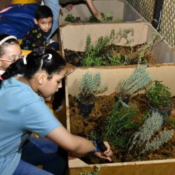 إطلاق النقل العام بالحافلات الجديدة في مدن الشمال الغربي من المملكة