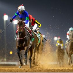 وكالات أممية : المساعدات التي دخلت غزة منقذة لحياة المدنيين لكنها غير كافية