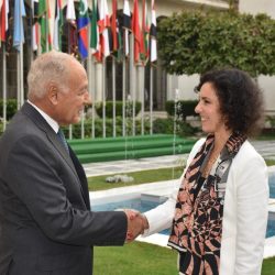 وزيرة التخطيط والتنمية الاقتصادية تلتقي المدير العام للمعهد العربي للتخطيط بالكويت لبحث تعزيز سبل التعاون