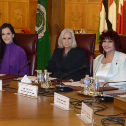 نائب وزير السياحة والآثار لشئون السياحة تلتقي بسفير سنغافورة بالقاهرة لمناقشة سبل التعاون في مجال السياحة