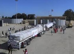 استشهاد 248 فلسطينياً في العدوان الإسرائيلي المستمر على قطاع غزة