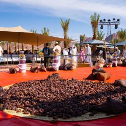 أكثر من 29 مسؤول وريادي يناقشون ريادة الأعمال في المملكة