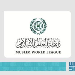 أعضاء اللجنة الوزارية المكلفة من القمة العربية الإسلامية المشتركة غير العادية يلتقون وزيرة الخارجية الفرنسية