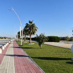 نادي سباقات الخيل يكشف عن قائمة الخيل المسجلة لمهرجان كأس السعودية 2024