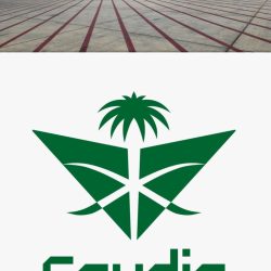 المجلس العربي يهنيء د. راندا رزق   لتعيينها رئيسًا لقسم الإعلام التربوي بجامعة القاهرة