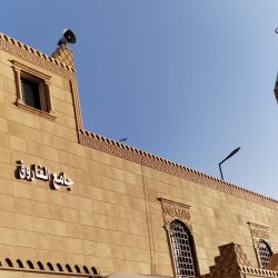 السعودي «انور باشا» يستعين بنجوم مصر لتسجيل ديوان «صمودي» 