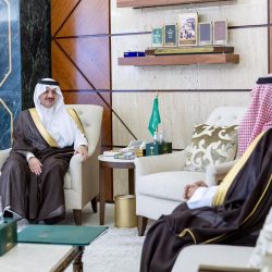 الأمين العام المساعد للشؤون السياسية الدولية لجامعة الدول العربية يلتقي السفيرة أليسون ميلتون سفيرة جمهورية أيرلندا لدى دولة الإمارات العربية المتحدة