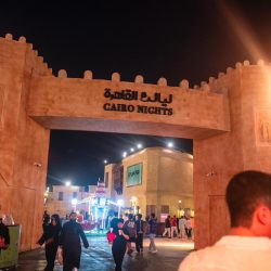 شيخ الأزهر يدعو من إندونيسيا إلى الجد والعمل والنظر إلى الأمم التي تعمل وتدبر في صمت